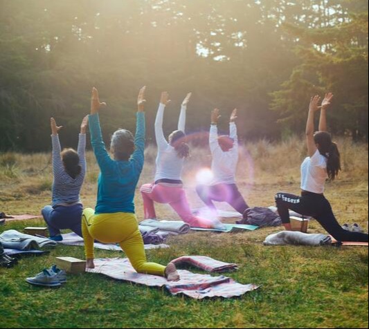 A group of yogis practicing yoga outdoors